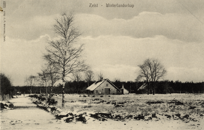 16354 Gezicht op de heide in de sneeuw te Zeist; met op de achtergrond de achtergevel van een boerderij.